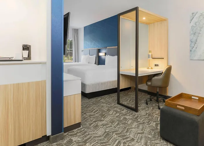 Springhill Suites By Marriott Truckee Lake Tahoe